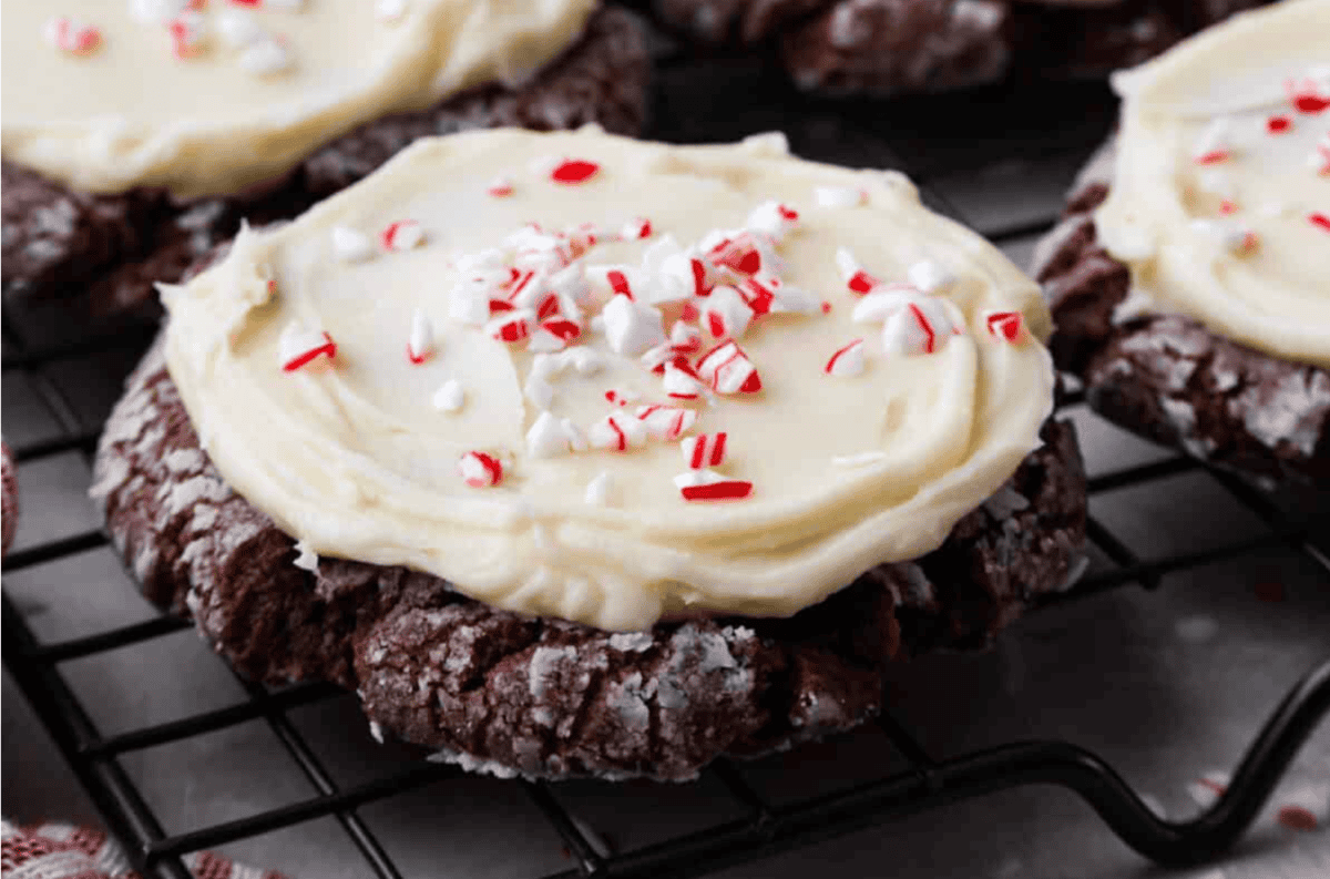 Chocolate Peppermint Cookies (Swig Copycat) – Beragampengetahuan