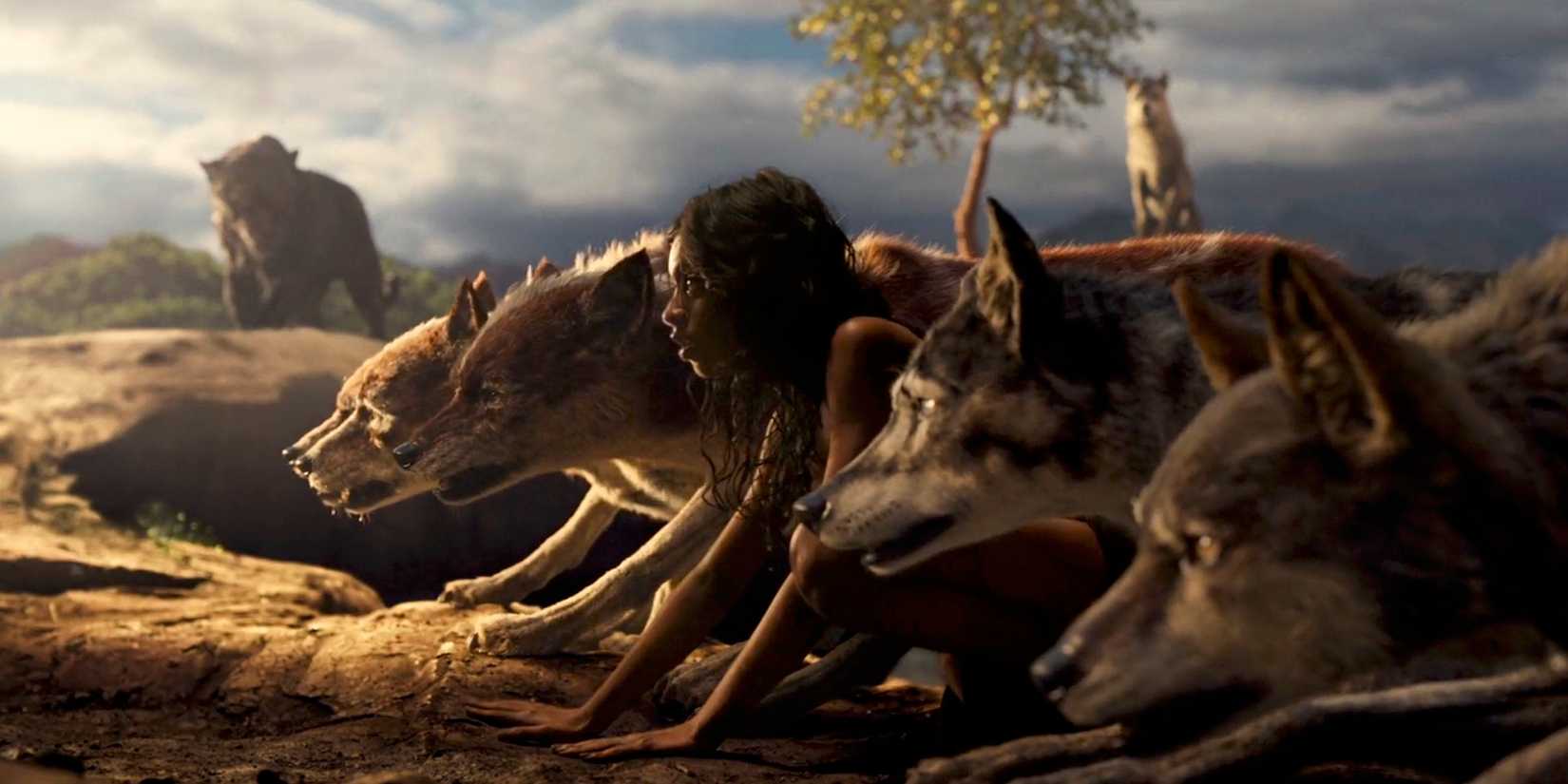 Rohan Chand dalam Buku Hutan Mowgli