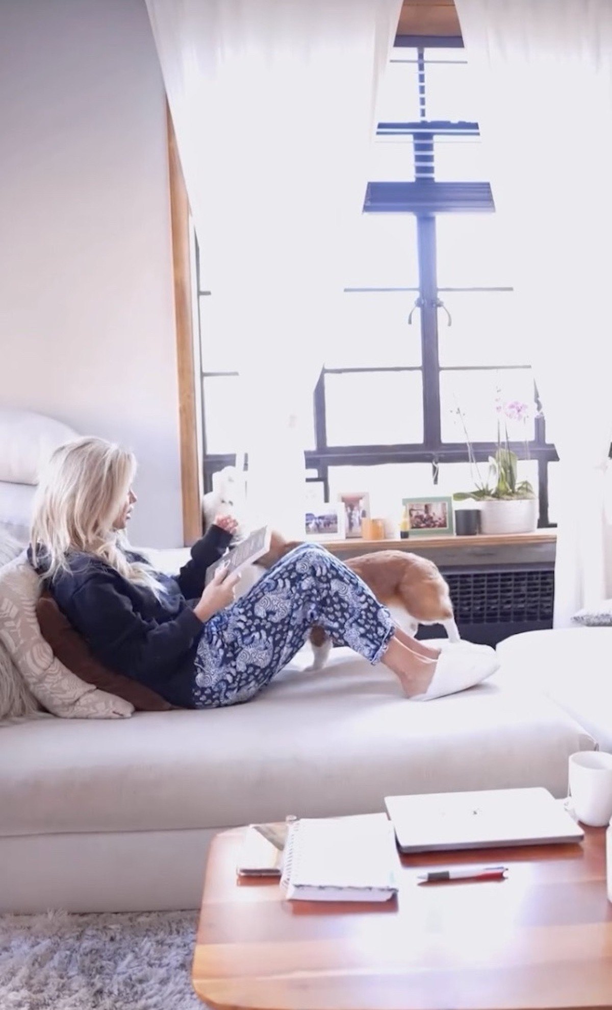Taylor prefers to get "home early" and "watch a bit of TV" before eating dinner and reading.