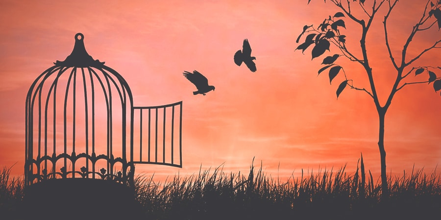 Oleh karena itu, kami telah melakukan desentralisasi dengan baik: Kodiak Finance

 – Beragampengetahuan