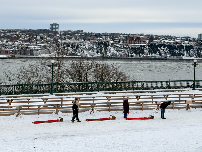 People tobogganing at Au 184 in Quebec City