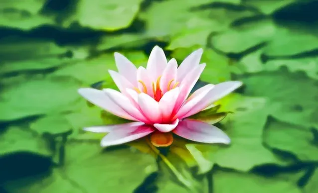 Manfaat pelatihan mindfulness
