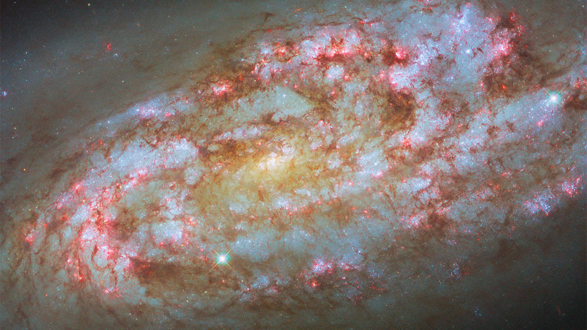 Tampilan baru Hubble yang tajam di NGC 1792

 – Beragampengetahuan