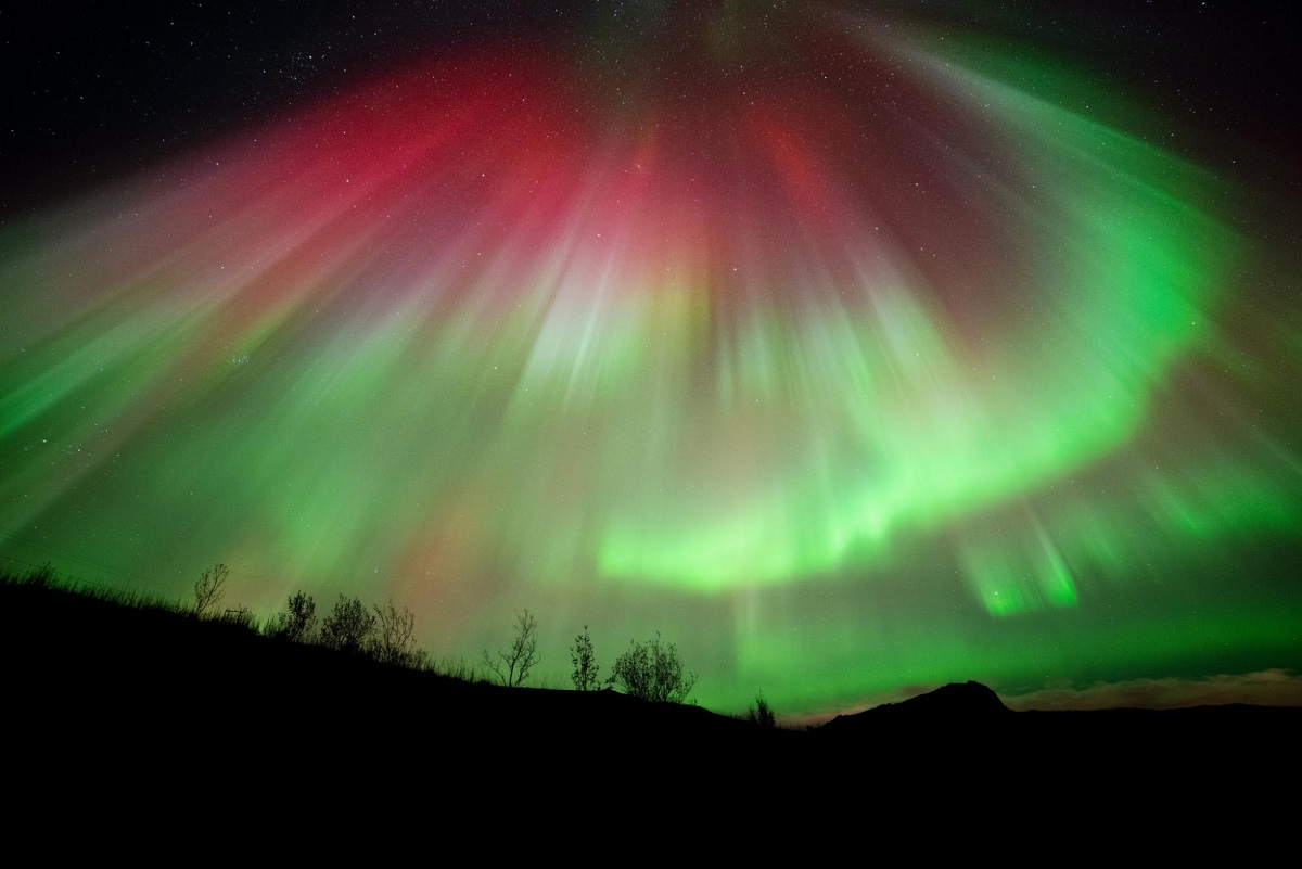 Budaya Skandinavia terungkap: tradisi, festival, dan kehidupan lokal

 – Beragampengetahuan