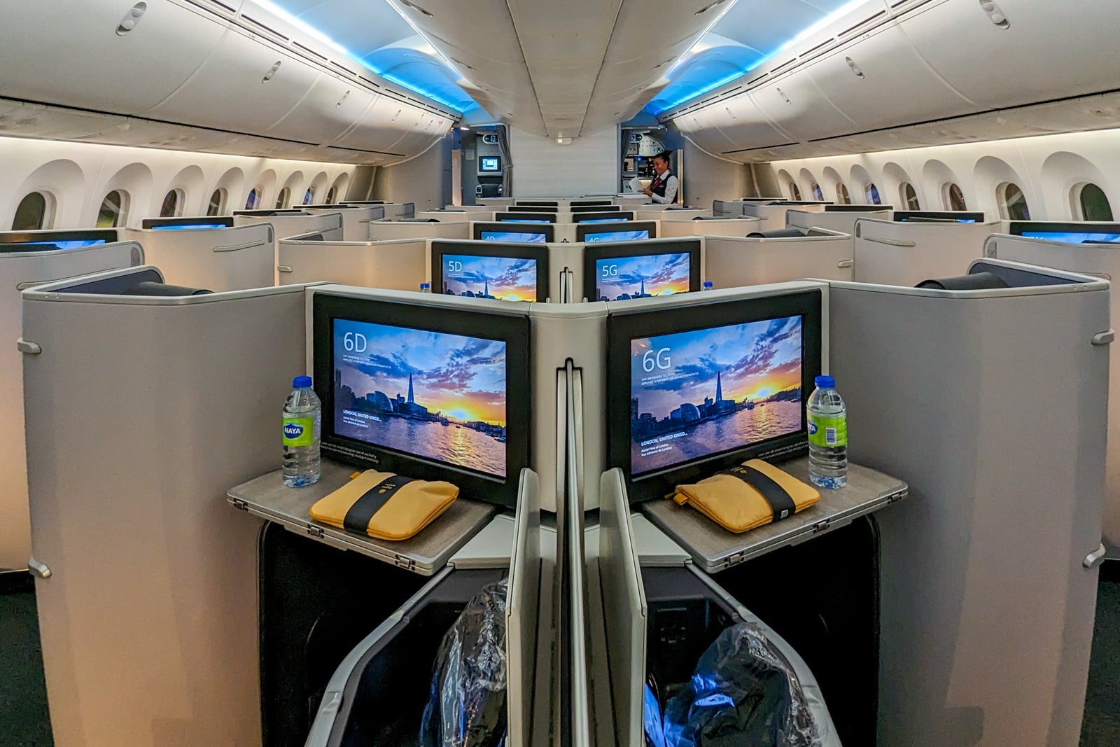 Interior kelas bisnis Air Canada 787