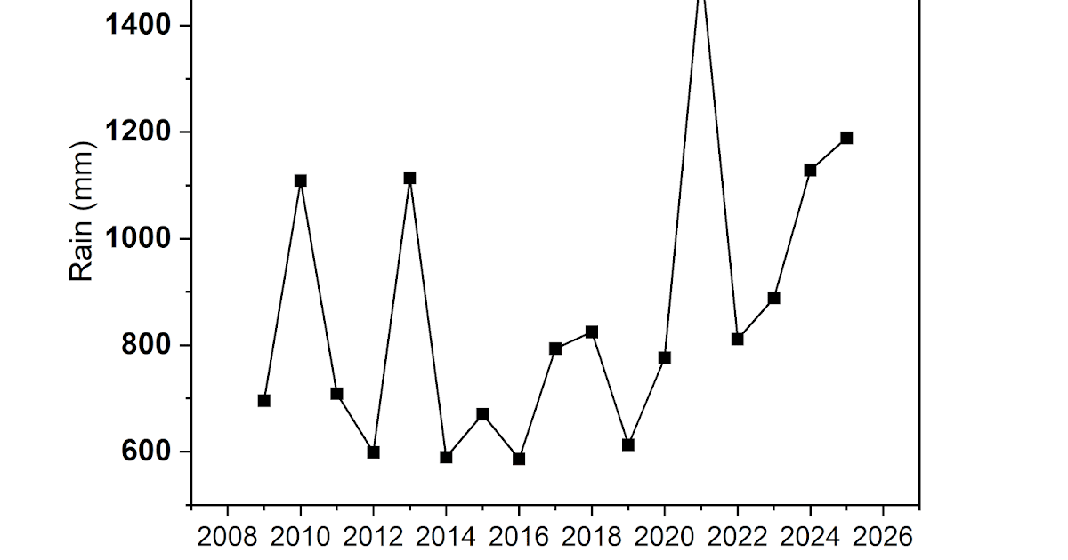 Dari hujan lebat hingga banjir: 2025 adalah tahun terbasah kedua di Delhi sejak 2009

 – Beragampengetahuan