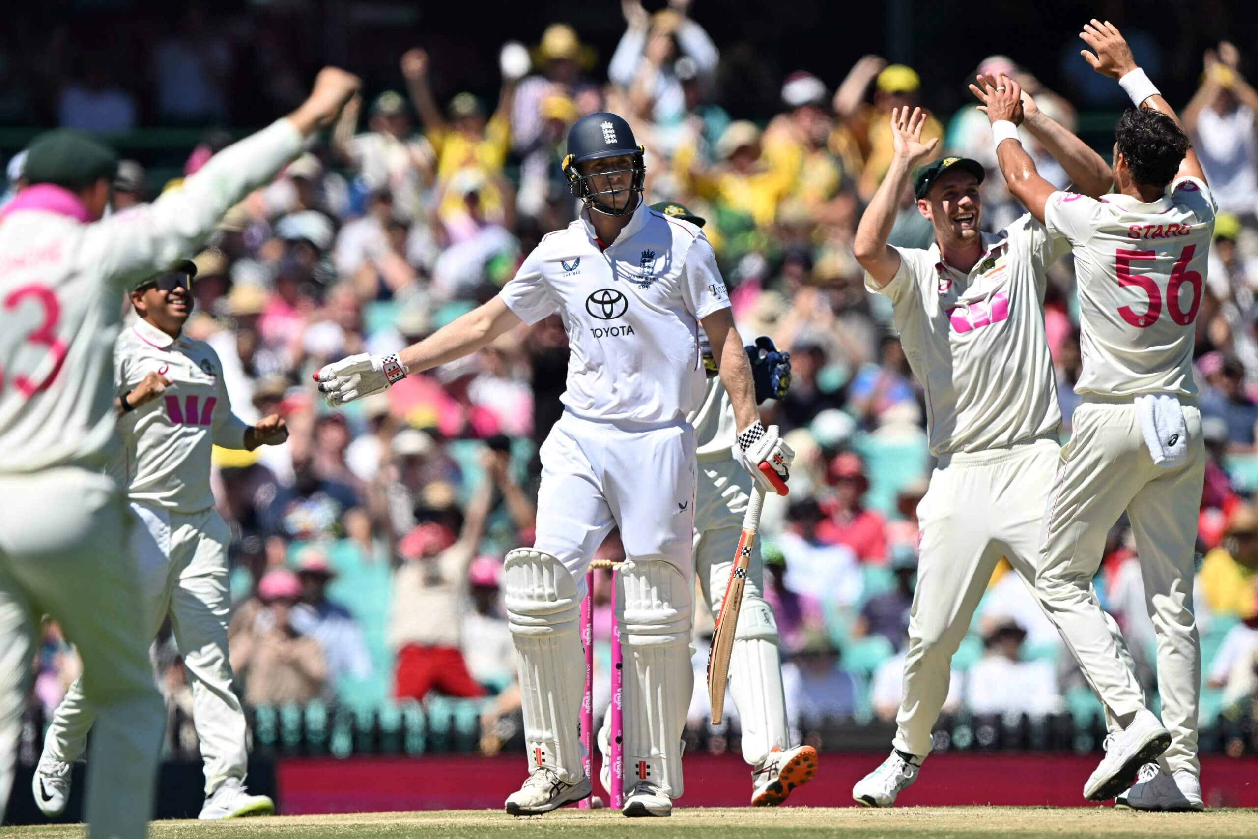 Mitchell Starc celebrates as Zak Crawley is given out leg before wicket in the first over