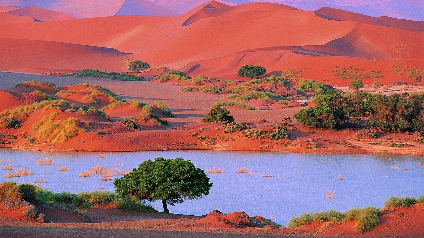 gurun namib
