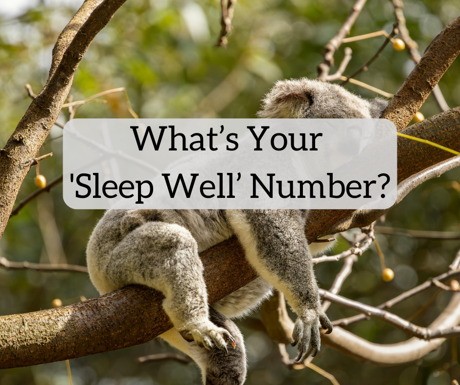 Berapa nomor “tidur nyenyak” Anda? Lonjakan Pasar, Penyesuaian Tarif, dan Pelajaran dari Penyeimbangan Kembali yang Terlewatkan

 – Beragampengetahuan