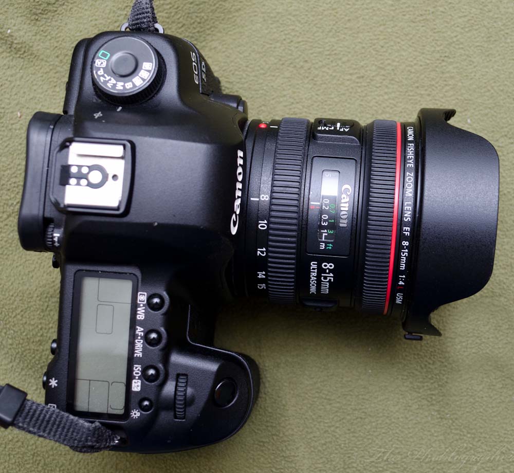 Fotografer Canon Meminta Ini Apakah dia akan datang?

 – Beragampengetahuan