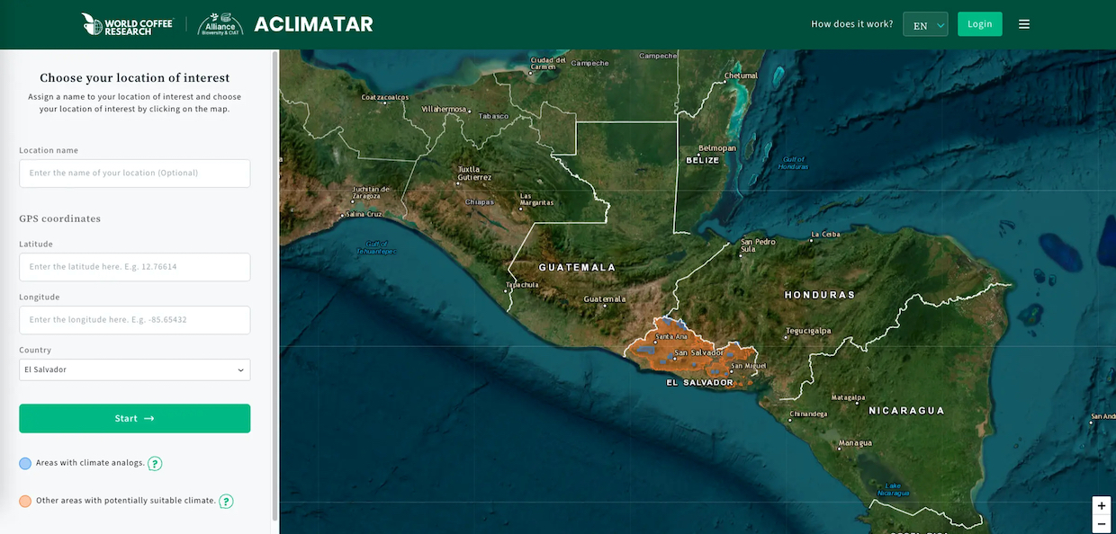 Platform CafeClima yang baru mendukung penanaman kembali kopi yang cerdas iklim

 – Beragampengetahuan
