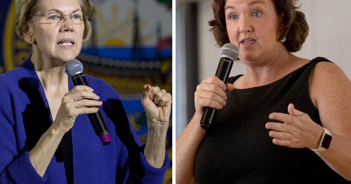 Senator Elizabeth Warren mendukung mantan anggota DPR Katie Porter sebagai gubernur

 – Beragampengetahuan